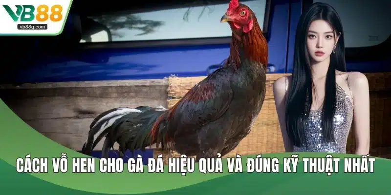 Cách vỗ hen cho gà đá
