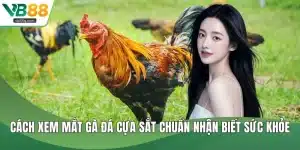 Cách xem mắt gà đá cựa sắt