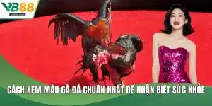 Cách xem màu gà đá