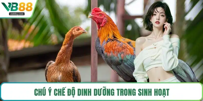 Chú ý chế độ dinh dưỡng trong sinh hoạt