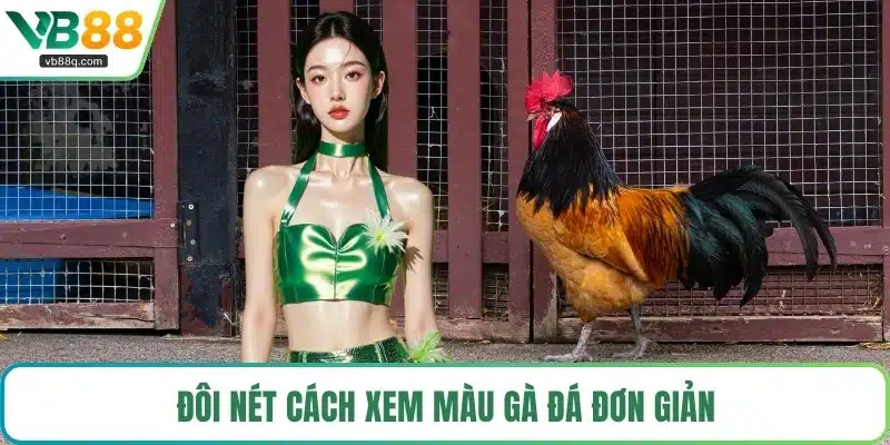 Đôi nét cách xem màu gà đá đơn giản
