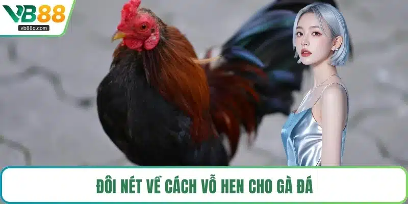 Đôi nét về cách vỗ hen cho gà đá