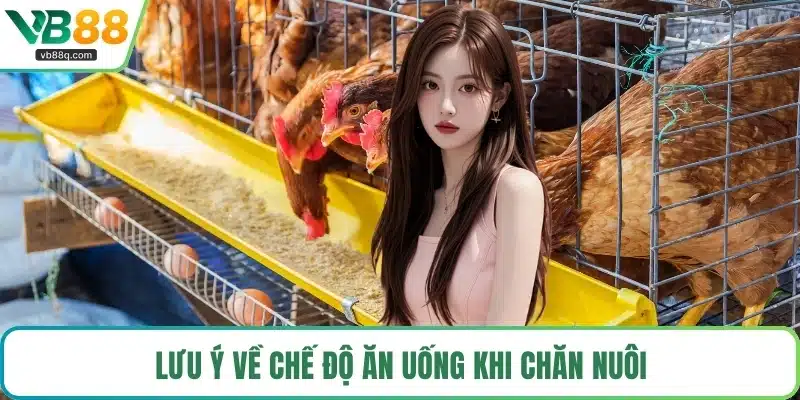 Lưu ý về chế độ ăn uống khi chăn nuôi